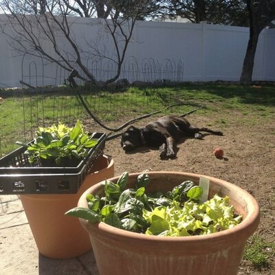 Profile Picture of Kyle Pankowski (@panky5953) on Twitter