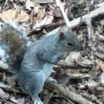 Profile Picture of paul_karch (@paul_karch) on Instagram