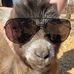 Profile Picture of Diane Keith (@diane.keith.7) on Facebook