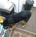 Profile Picture of David Red (@david.red.5477272) on Facebook