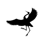 Profile Picture of Zachary Crane (@zacharycrane216) on Youtube