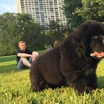 Profile Picture of Alex Stuessy (@docstuess) on Instagram