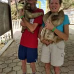 Profile Picture of Jeff Huff (@Jeff-Huff) on Facebook