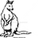 Profile Picture of Känguru By: Stevie J. Stevenson Jr. (@känguru by: stevie j. stevenson jr.) on Flickr