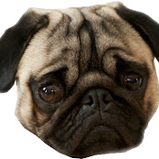 Profile Picture of Michael Helbing (@MJHelbing) on Youtube