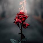 Profile Picture of Radha reddy (@_radha_reddy_01) on Instagram