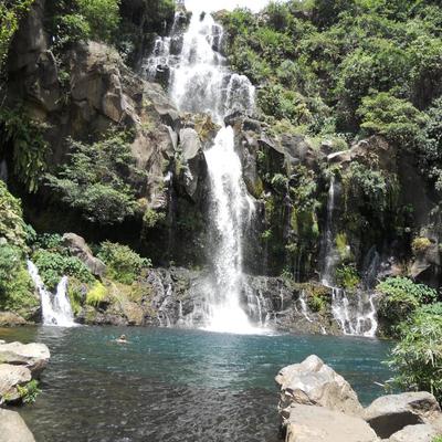 Profile Picture of Couturier André (@974andre) on Twitter