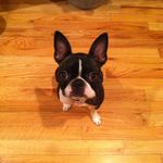 Profile Picture of Marc Alston (@mdenjoyinlife) on Instagram