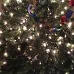 Profile Picture of Andrew Bunton (@andrew_bunton4) on Instagram