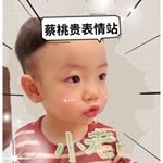 Profile Picture of 蔡桃貴表情站❤️ (@graygrayaini) on Instagram