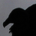 Profile Picture of Vanessa Alves (@alvesphotosmiami) on Flickr