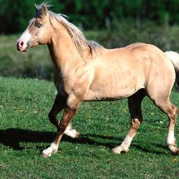 Profile Picture of Alex B. Howland (@DeniseCBell1) on Twitter