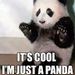 Profile Picture of PAULA SACHS (@peajane67) on Pinterest