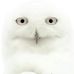 Profile Picture of Ida M Byron (@Ida-M-Byron) on Facebook