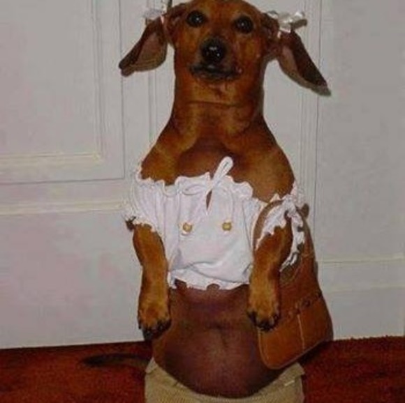 Profile Picture of Jacqueline Evrard (@jacquelineevrar) on Poshmark