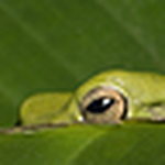 Zackalicious - Flickr Profile Picture of Zackalicious (@Zackalicious) on Flickr