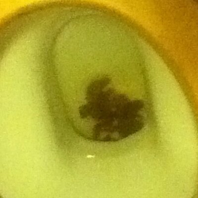 Profile Picture of Dunno Tbh (@CottleAaron) on Twitter