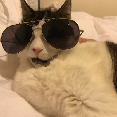 Profile Picture of Stephen Coventry (@Stephencoventr2) on Twitter