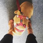 Profile Picture of Emma Floyd Osborne (@missemmaoz) on Instagram