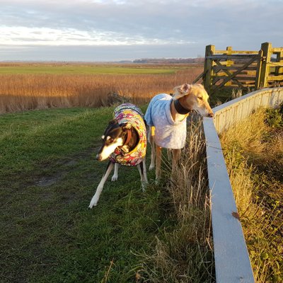 Profile Picture of Jon Goodrich (@JGoidrich) on Twitter