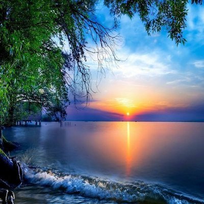 Profile Picture of Angelo Murphy (@angelo_murphy) on Twitter