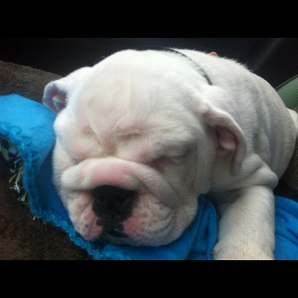 Profile Picture of Lindsey Hendrich (@lhendrich) on Poshmark