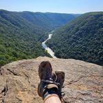 Profile Picture of Shawna Downey (@shawnadowney) on Instagram