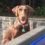 Profile Picture of Randall Hales (@randall.hales) on Instagram