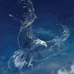 Laith Hanna - Instagram Profile Picture of Laith Hanna (@osama.fares.7311) on Instagram