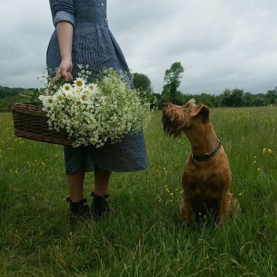 Profile Picture of Harry&Frank (@harryandfrank) on Twitter