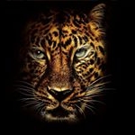 Profile Picture of hari Prasath srinivasan (@strange_evil__007) on Instagram