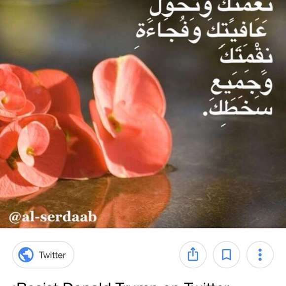 Profile Picture of Widad Almasri (@widadalmasri11) on Poshmark