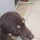 Profile Picture of   Huy Vu Mai848 (@huyvumai79)... (@huyvumai79) on Tiktok