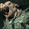 Profile Picture of Scott Zimmerman (@scott.zimmerman.96742) on Facebook