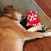 Profile Picture of Melanie Hatch (@melanie.hatch.5439) on Facebook