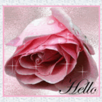Profile Picture of Joyce (@joyce_dixon) on Twitter