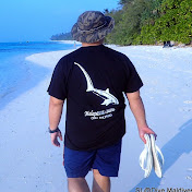 Profile Picture of Steve Lau (@molainesteve) on Youtube