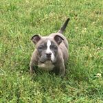 Profile Picture of Travis Irvin (@travis.irvin) on Instagram
