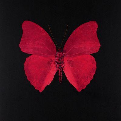 Profile Picture of Munir Smith (@munir_barghoti) on Twitter