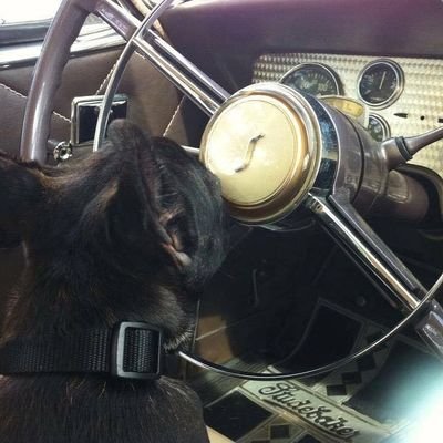 Profile Picture of Curt Devan (@Deva746Curt) on Twitter