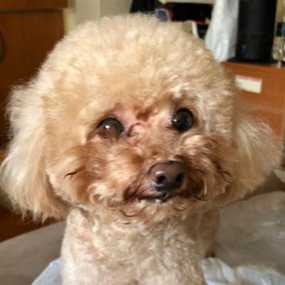 Profile Picture of Bianca Ng (@bianca_ng) on Twitter