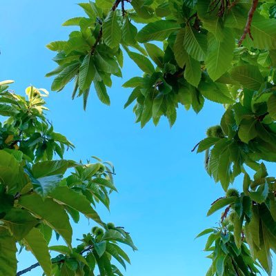 Profile Picture of Daniel Venegas C. (@dvenegas9) on Twitter