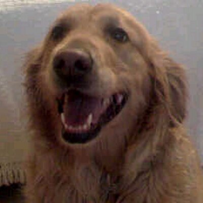 Profile Picture of Loyd Roberson (@LWROBERSON) on Twitter