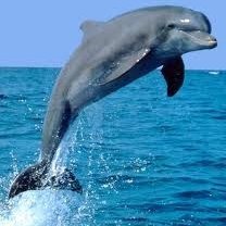 Profile Picture of Wojciech (@wojnar4) on Myspace