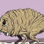 Profile Picture of joshkobe (@joshkobe1012) on Instagram