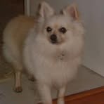 Profile Picture of George Reiff (@george.reiff.3) on Facebook