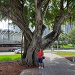 Profile Picture of Nanette Gonzalez (@nanette.gonzalez.967) on Instagram