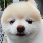 Profile Picture of Katsumi Hirata (@junichikeitai) on Instagram