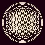 Profile Picture of aaron (@_aaron_stewart_) on Instagram