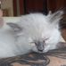 Profile Picture of Richard Oakes (@richard.oakes.581) on Facebook